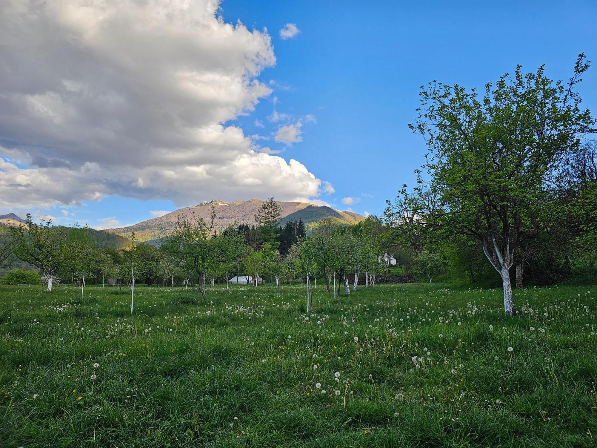 Traditional House Srna Мойковац Екстериор снимка